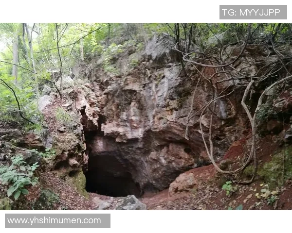 赵娜的攀岩人生：在高峰之上与自我的深度对话与探索