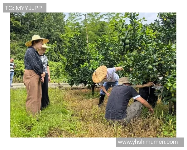 果园里的四季变迁：探索丰收的秘密与自然的奇妙共舞